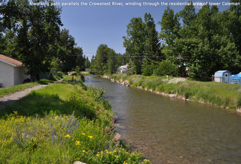 A walking path parallels the Crowsnest River, winding through the residential area of lower Coleman