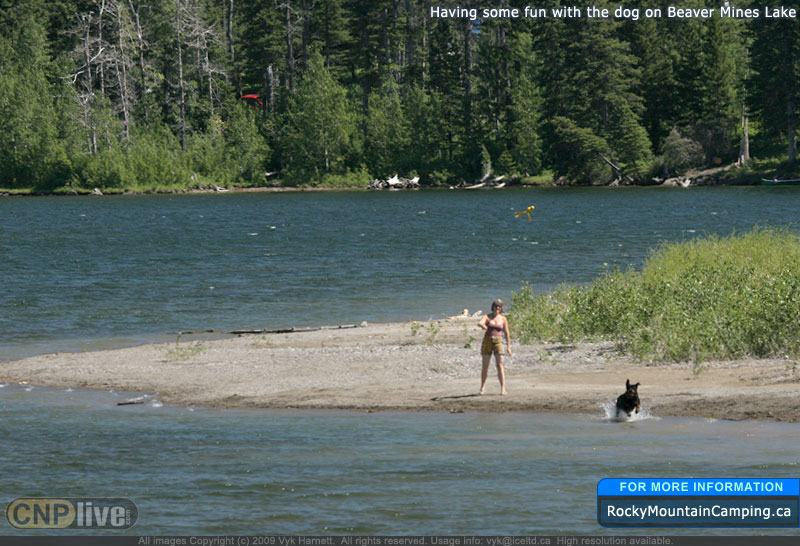 Having some fun with the dog on Beaver Mines Lake