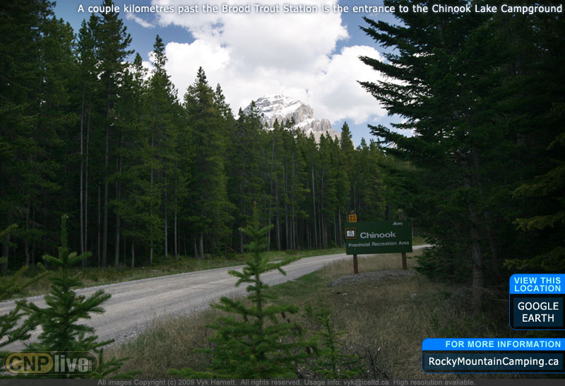 A couple kilometres past the Brood Trout Station is the entrance to the Chinook Lake Campground