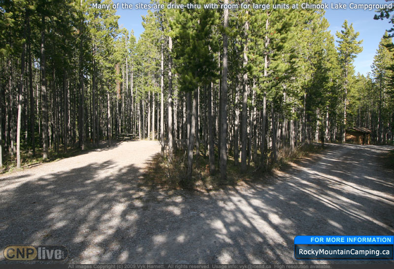 Many of the sites are drive-through with room for large units at Chinook Lake Campground