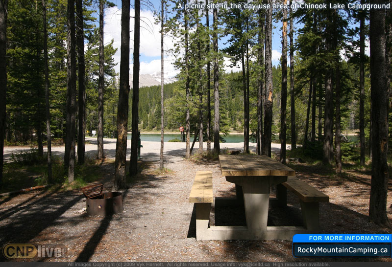 A picnic site in the day-use area of Chinook Lake Campground