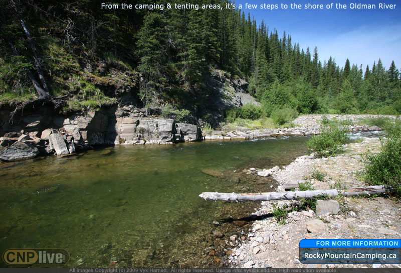 From the camping & tenting areas, it's a few steps to the short of the Oldman River