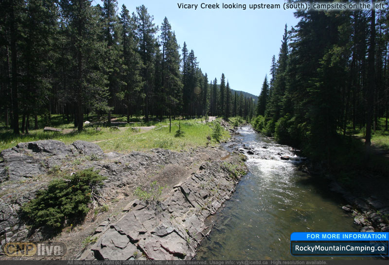 Vicary Creek looking upstream (south); campsites on the left