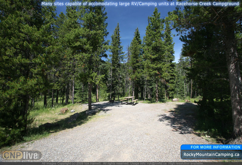Many sites are capable of accomodating large RV/Camping units at Racehorse Creek Campground