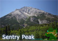 Sentry Mtn is the first peak you see as you enter the Crownest Pass from BC on Hwy 3